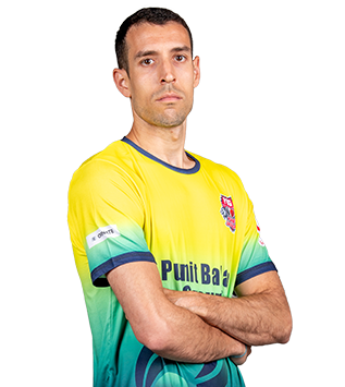 playerImage
