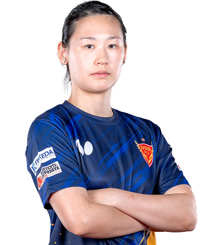 playerImage