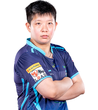 playerImage